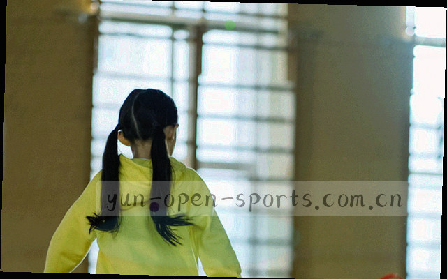 半透明数据层叠加在模糊赛场背景上的抽象缩略图，不含可识别人物与球队标识